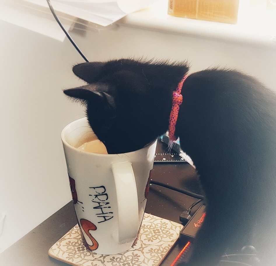 Kava drinks kava (coffe)